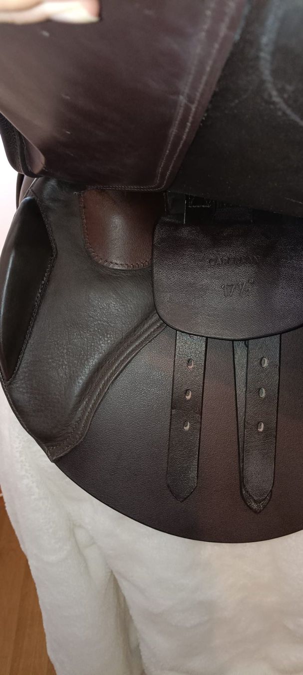 Selle & Accessori: Brauner Springsattel – Nuovo (secondo la descrizione) da Buchs ZH venduto da Hereiam0 3