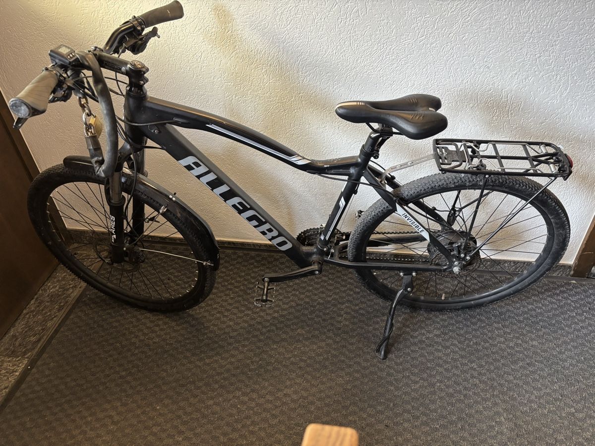 Biciclette: Allegro E Bike – Difettoso da Savognin venduto da kje_c6rv