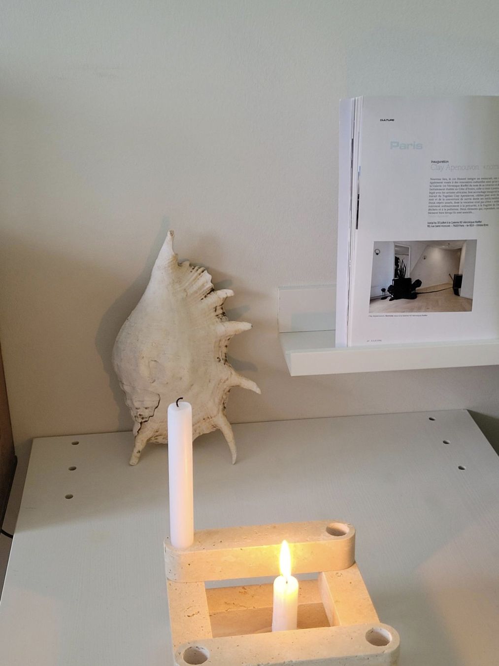 Fossili: Grosse Muschel | Sea Shell Large | Conch – Usato da Zürich venduto da HelloSunshine8048 7