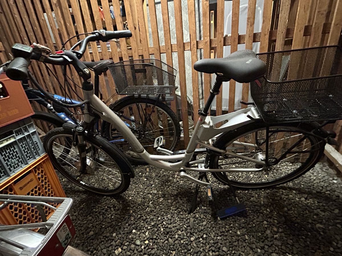 Crosswave Biciclette: Elektrovelo – Difettoso da Winterthur venduto da yas_hb6z
