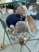 Div grosse Muscheln