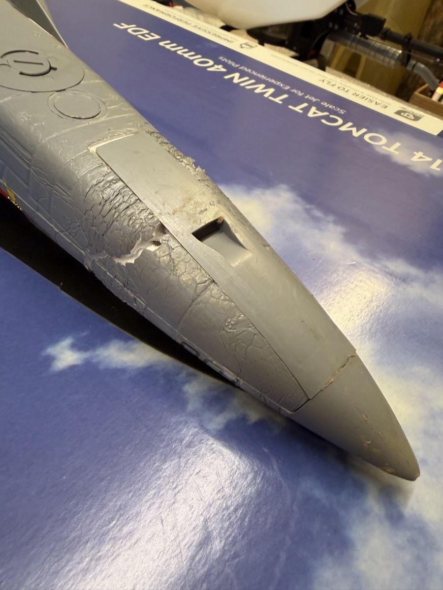 E-Flite Modellismo RC: F14 E-flight – Difettoso da Chêne-Bougeries venduto da Varioskyfox1982 4