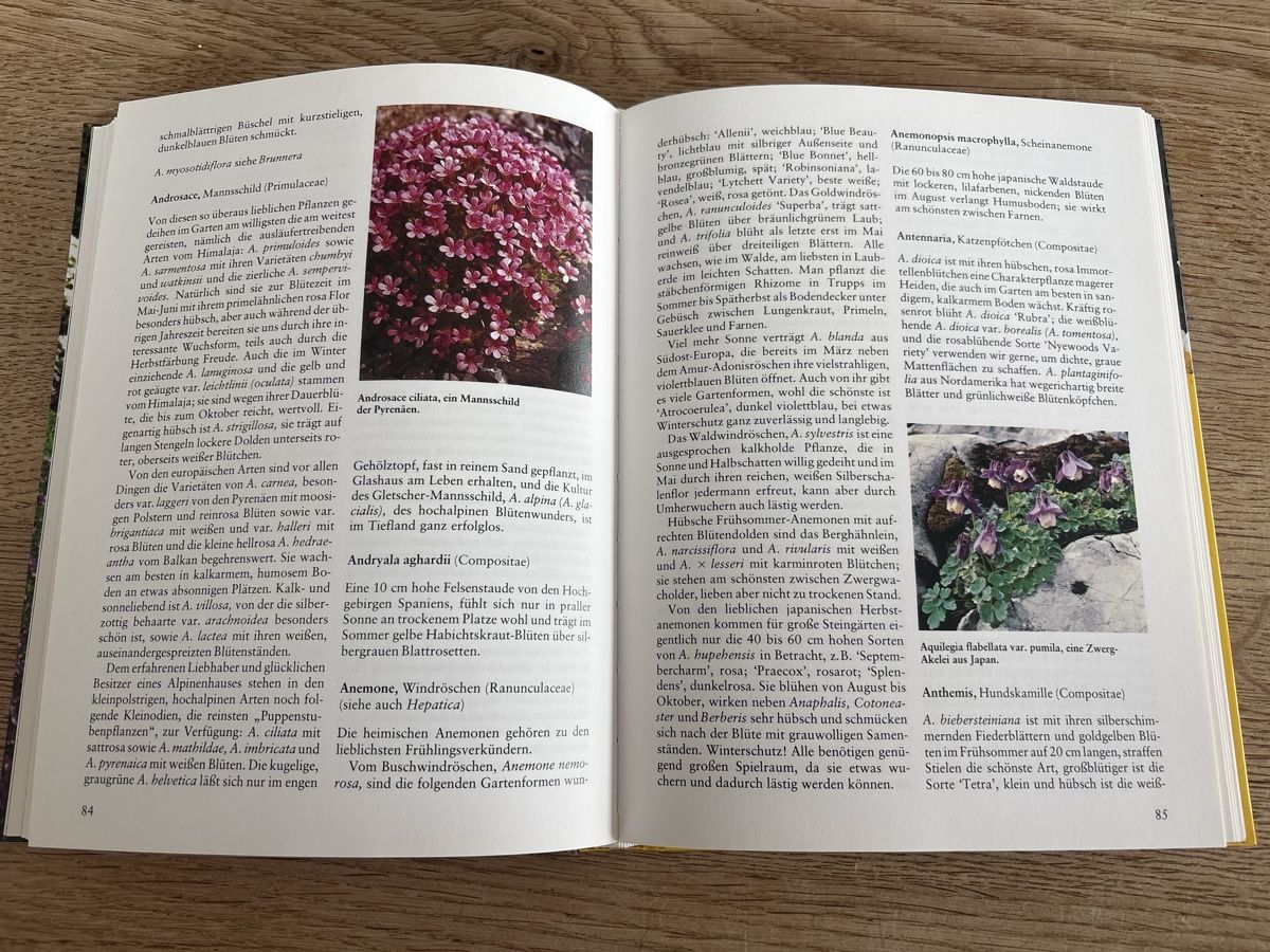 Livres: Der Steingarten  – D'occasion à Schlierbach par Stee09 3