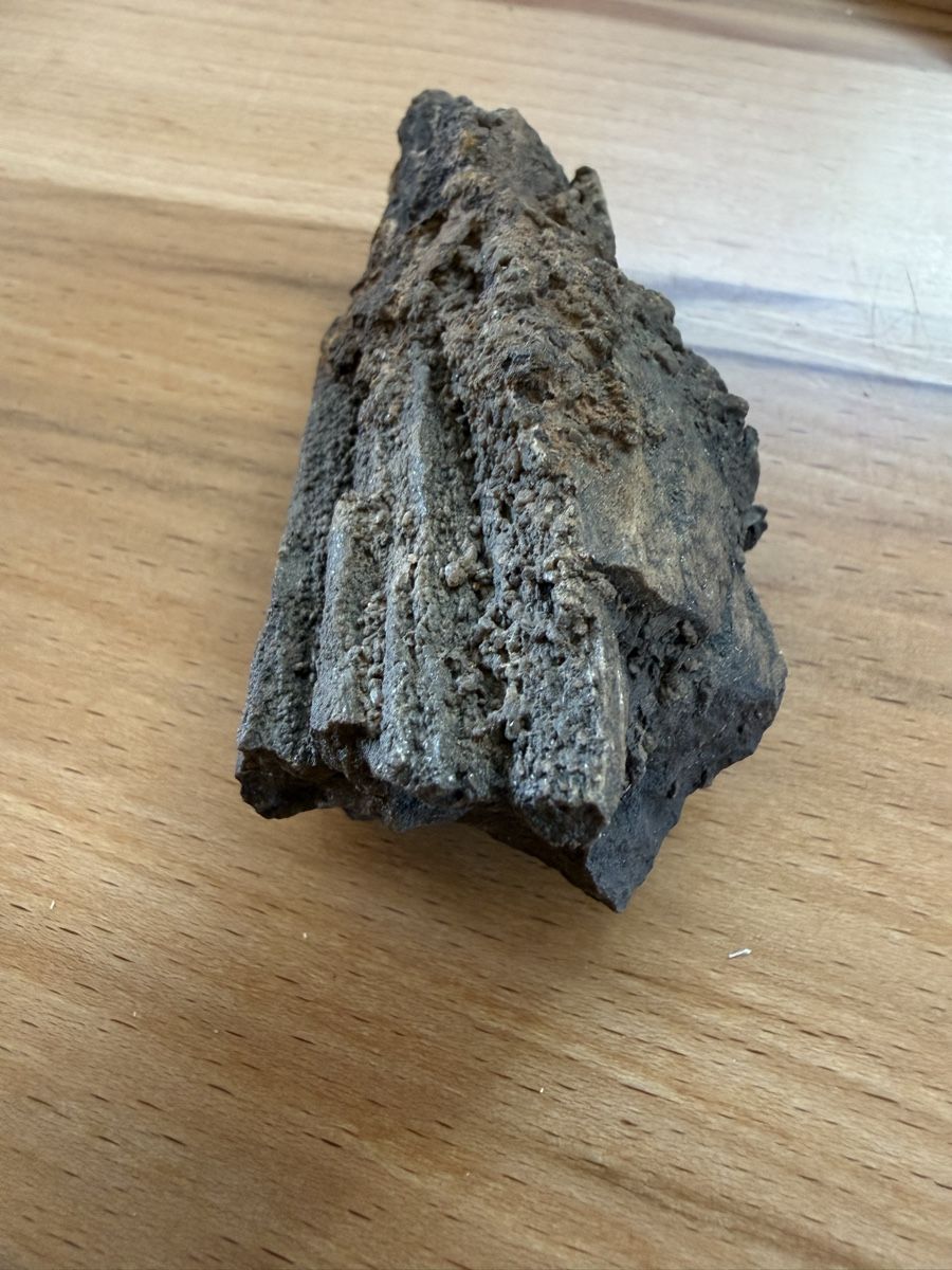 Fossili: Versteinertes Holz – Usato da Grenchen venduto da Bastet007 8