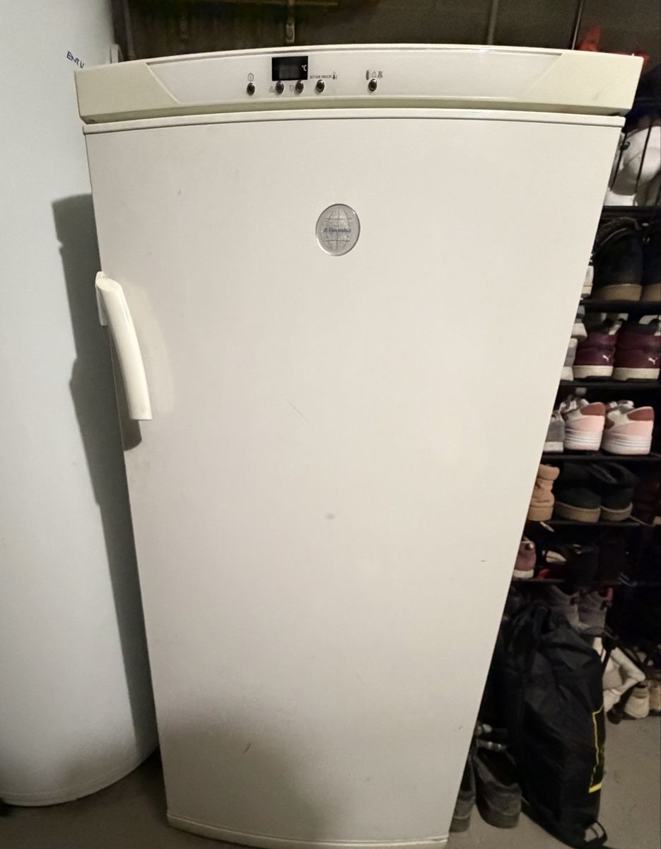 Gefrierschrank: Electrolux EUC2403 Gefrierschrank gebraucht – Gebraucht aus Bösingen von selu04 1