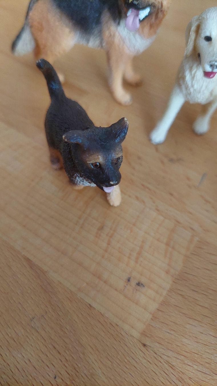 Schleich Statuette: Schleich Hundefiguren  – Usato da Basel venduto da Jonny.44 3