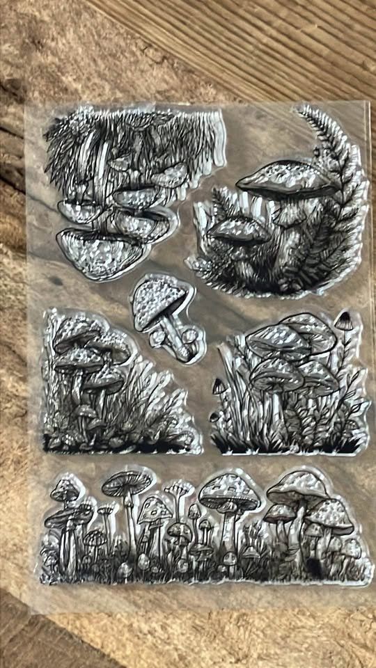 Timbri: Neues Set Motivstempel , Silikonstempel Pilze – Nuovo e nell'imballaggio originale da Effretikon venduto da wenuss 2
