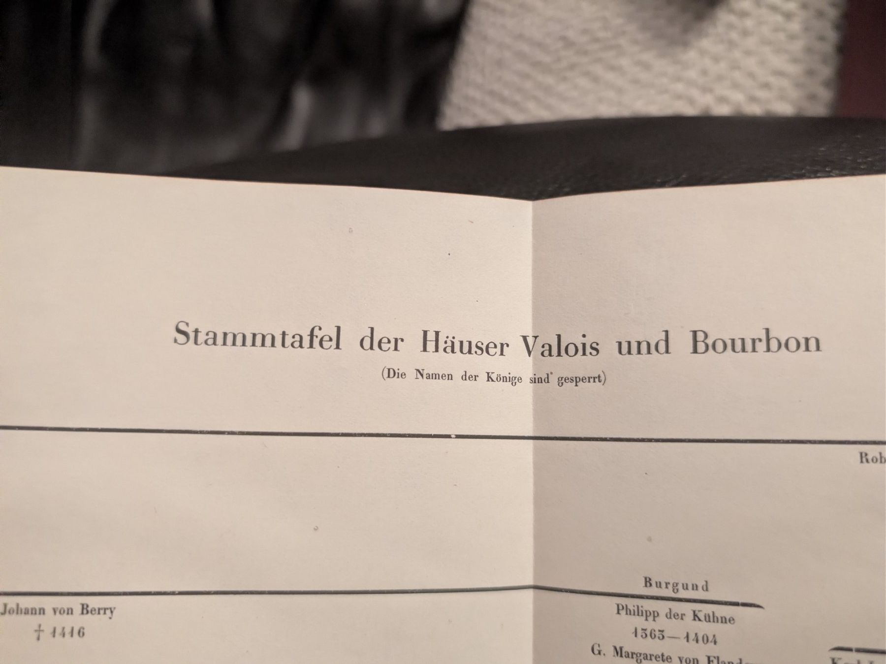 Libri: DIE LETZTEN VALOIS – Usato da zürich venduto da gabab 5