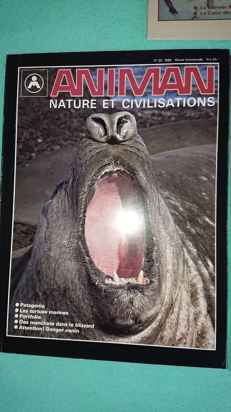 Riviste & Magazine: Animan / 7 Magazines – Usato da Cortaillod venduto da signep 1