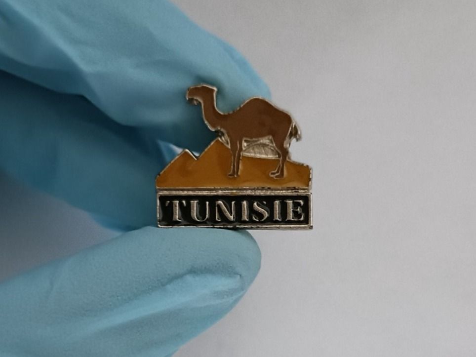 Plaketten & Abzeichen: Pin Tunisie - Box 17 – Gebraucht aus Köniz von Pinscollect