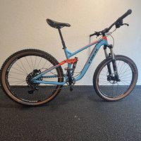 Trek Remedy 9