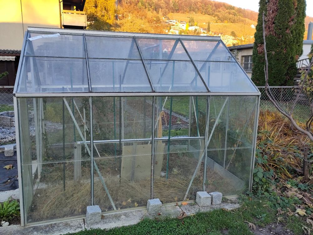 Gebrauchtes Gewachshaus Glas