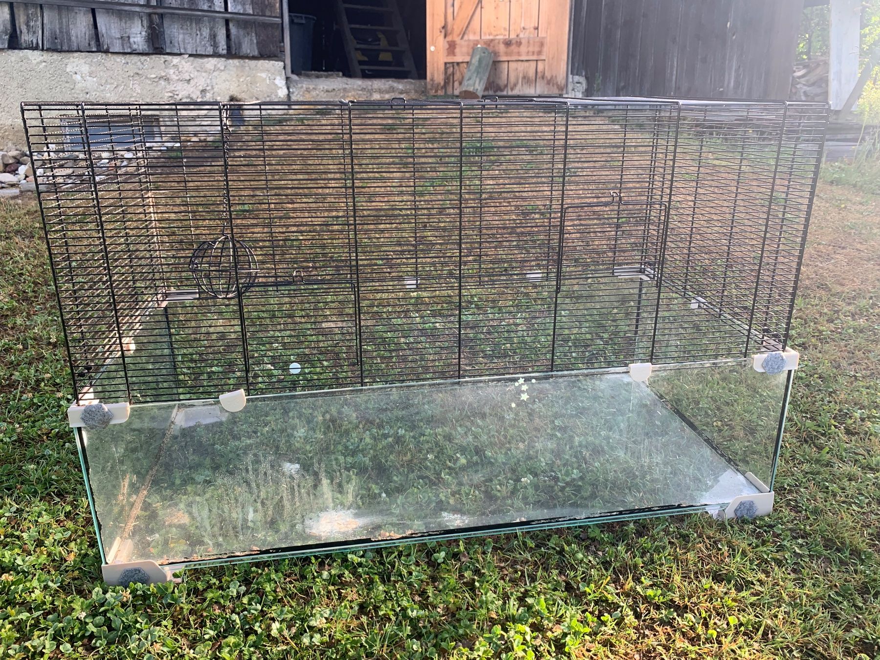 Gabbie, trasporto & Sicurezza: Glas Hamsterkäfig/Nagerheim – Usato da Seuzach venduto da steven_mueller01 6
