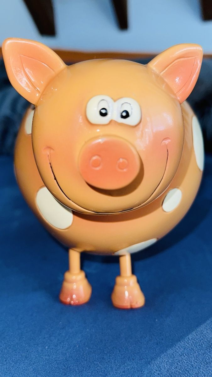 Salvadanai: Süsses Sparschwein – Usato da Schönenbuch venduto da hug_f2ny