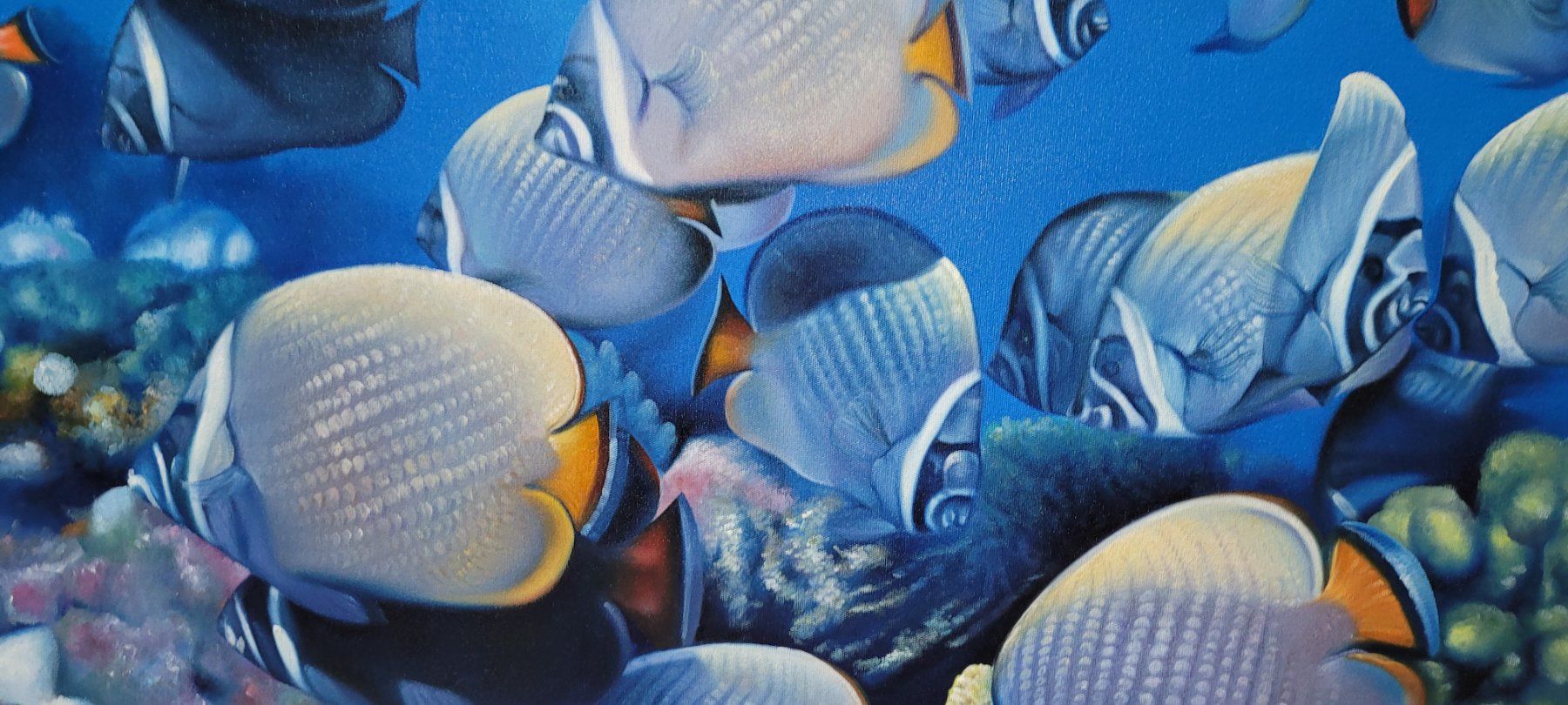 Tableaux: Ölgemälde Fische – D'occasion à Schwerzenbach par Jdagi 1