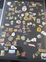 Pins-Sammlung