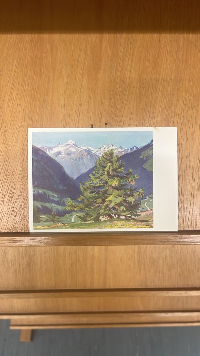 Cartoline postali: Ansichtskarte Albert Nyfeler Am Lötschenpass – Usato da Muttenz venduto da Totkel