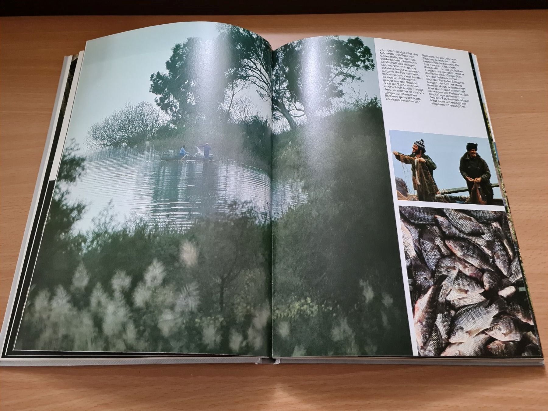 Libri: Das Heilige Land – Usato da Erstfeld venduto da Mario_boe0 3