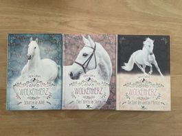 Jugendbücher