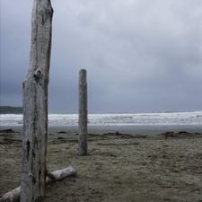 Profile image of Oceanzz
