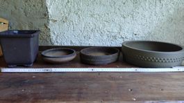 Diverse schöne Bonsai Schalen 