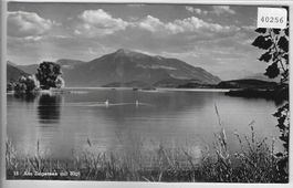 Am Zugersee mit Rigi