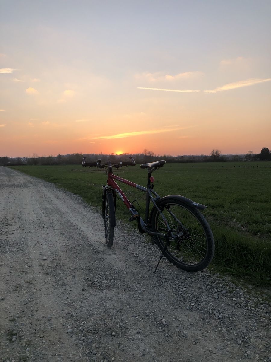 KTM Biciclette: KTM Mountainbike – Usato da Riehen venduto da Love-and-Peace