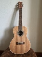 Ukulele concert by Cordoba