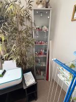 Hausräumung: Vitrine, Glasvitrine, ab 1.—