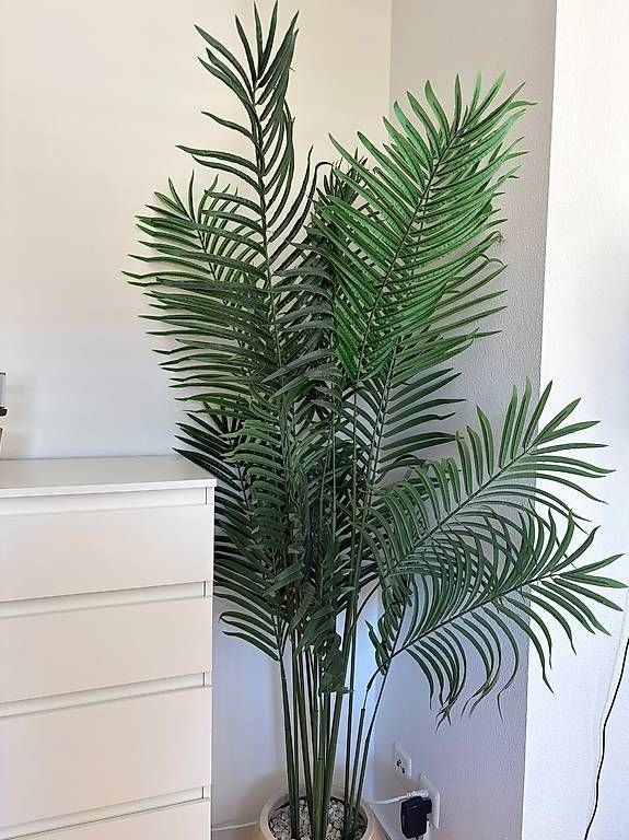 Plantes & graines: Grosse Kunstpflanze – D'occasion à Gossau SG par Koumichel16
