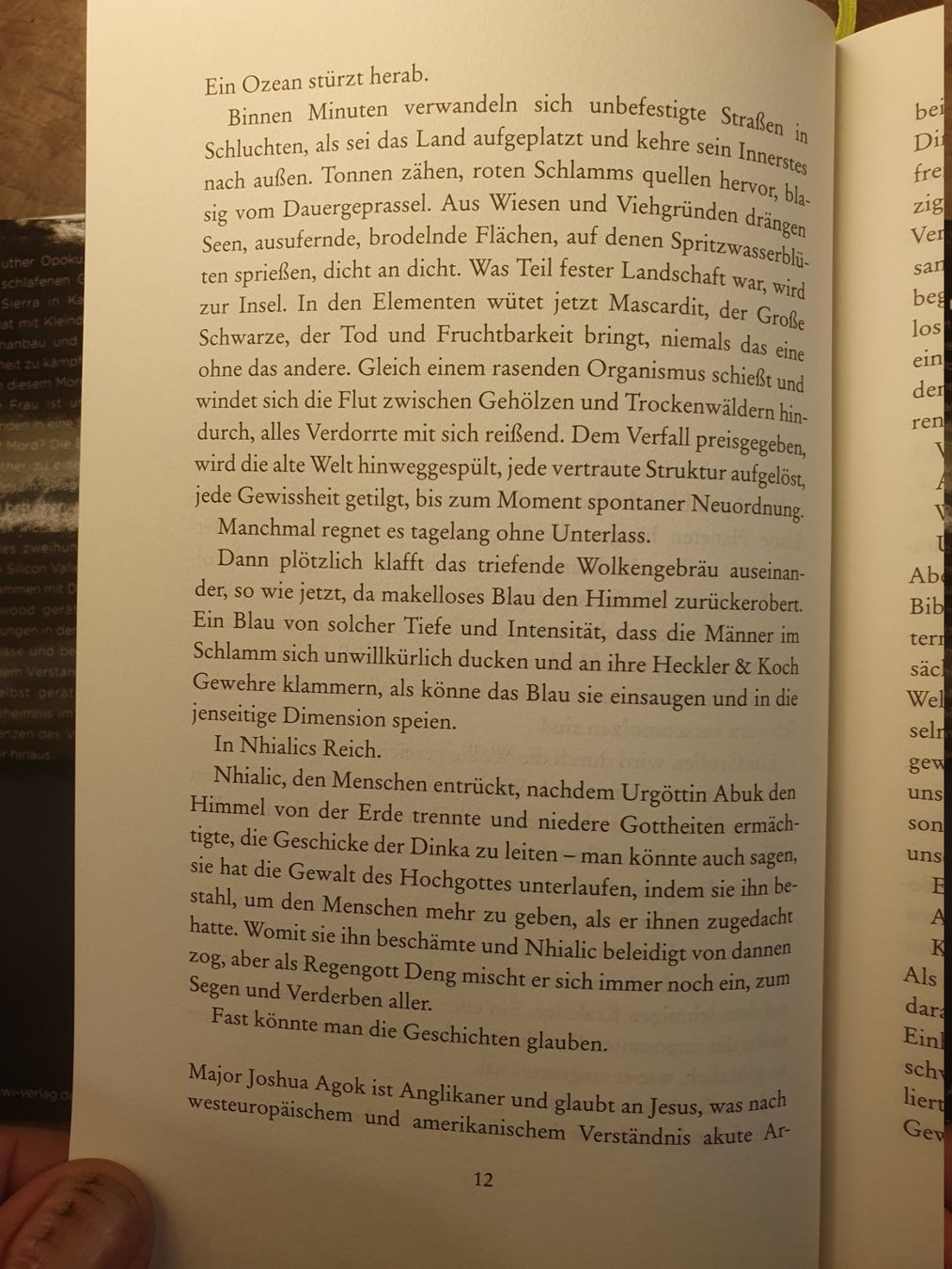Libri: Die Tyrannei des Schmetterlings - Frank Schätzing – Usato da Zürich venduto da loosebone 6