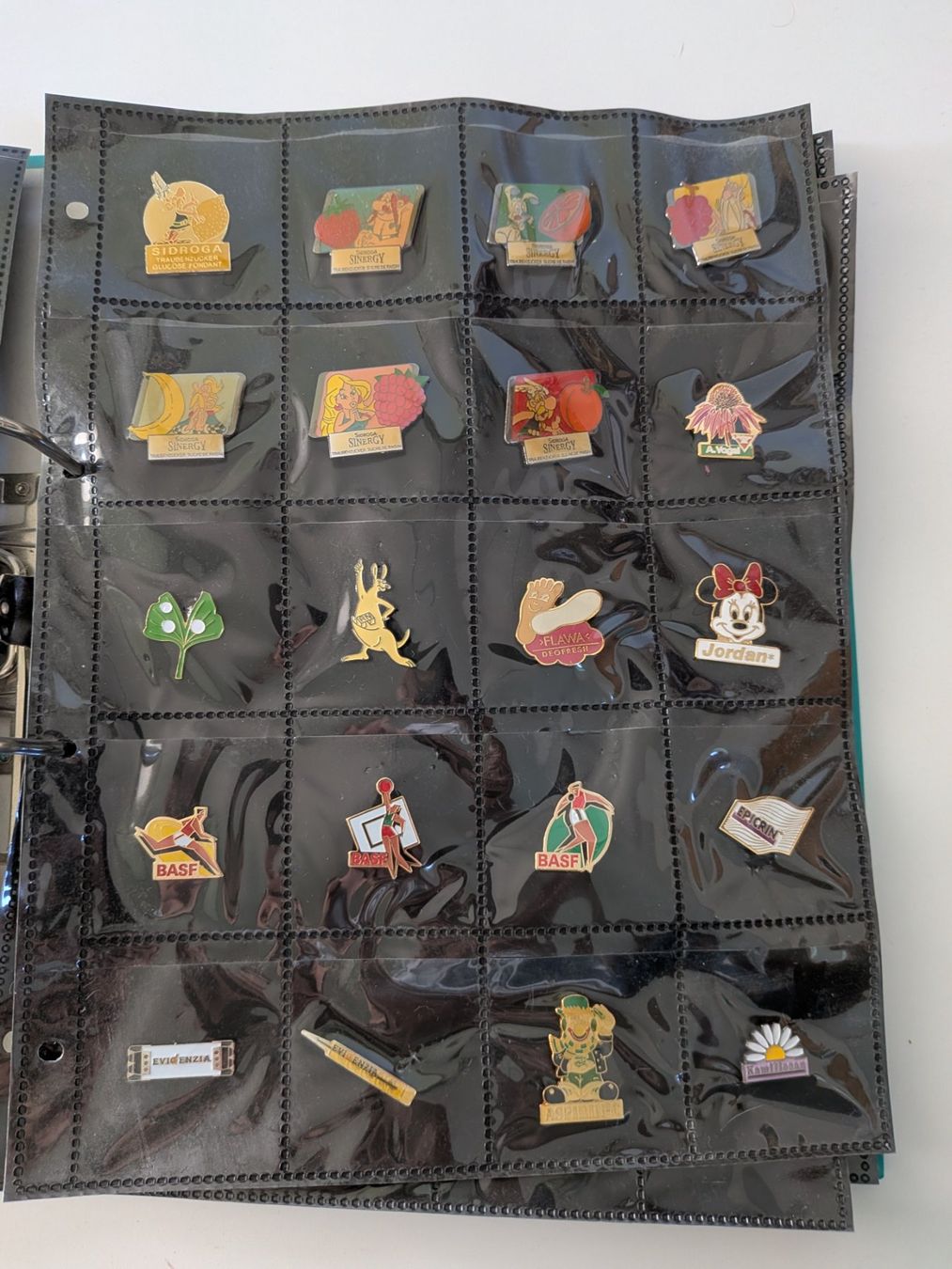 Placchette & Badge: Riesige Pin Sammlung (> 2000 Stück) – Usato da Künten venduto da Dfog 6