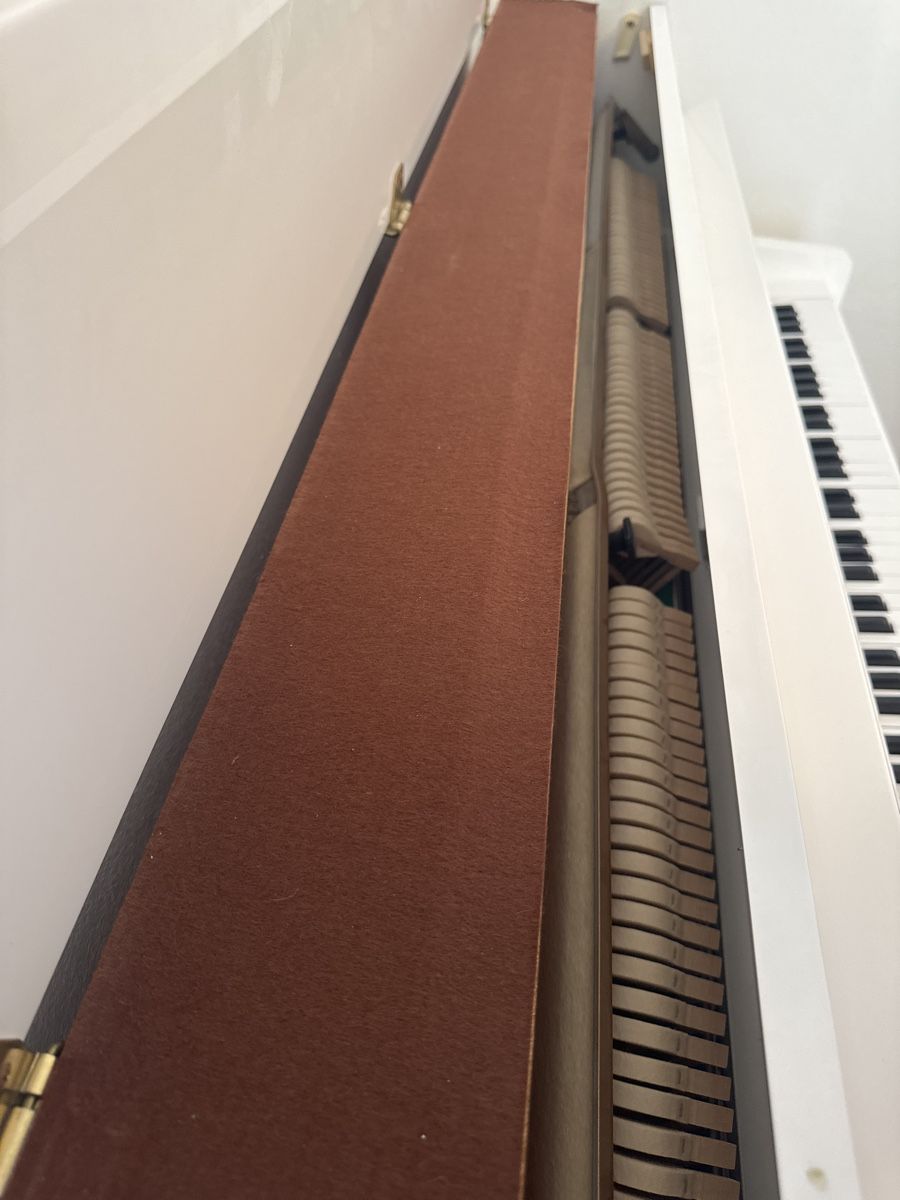 Strumenti musicali: HYUNDAI Klavier – Usato da Untersiggenthal venduto da kaanzurich 4
