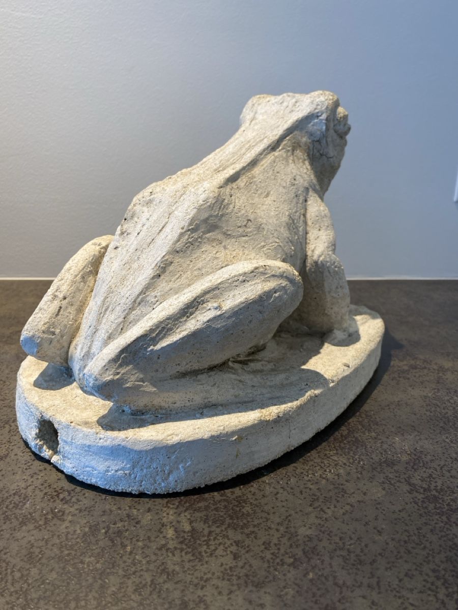 Sculture & Statue: Concrete frog – Usato da Glis venduto da Rhonevalley 6