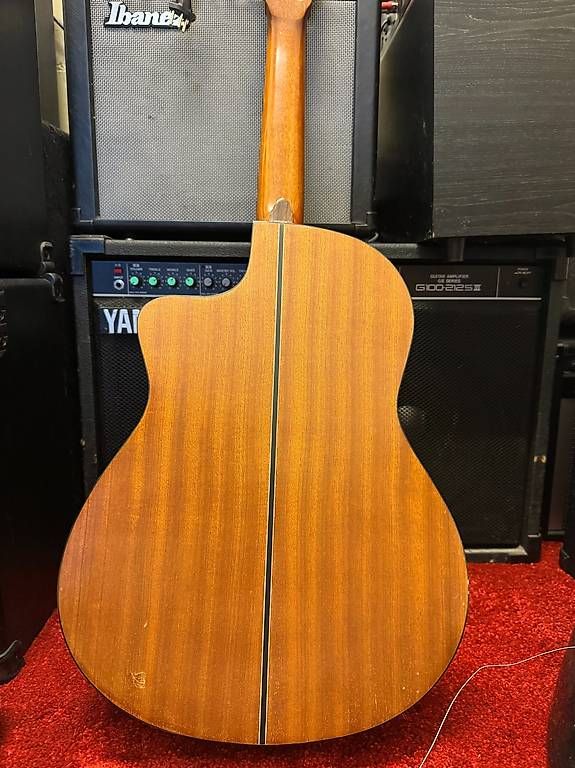 Strumenti musicali: Gitarre Walden Natura N550CE – Usato da Embrach venduto da CarlosTF 3