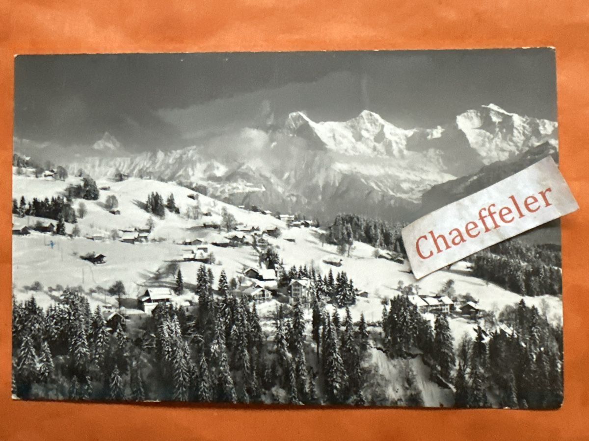 Ansichtskarten: 1965 911 Battenberg, Waldegg. Schreckhorn, Eiger, Mönch, Ju – Gebraucht aus Zürich von Chaeffeler