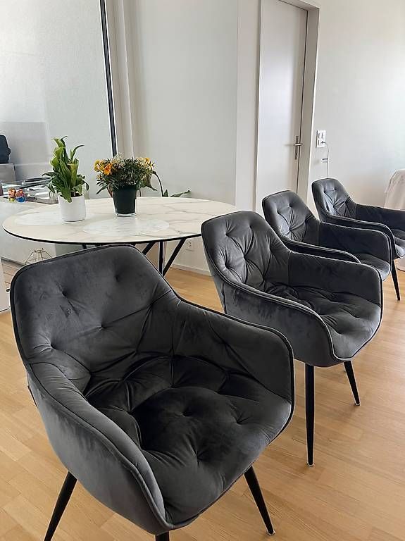 Sedie: Esszimmer Stühle – Usato da Pratteln venduto da ezg_2wmx 1