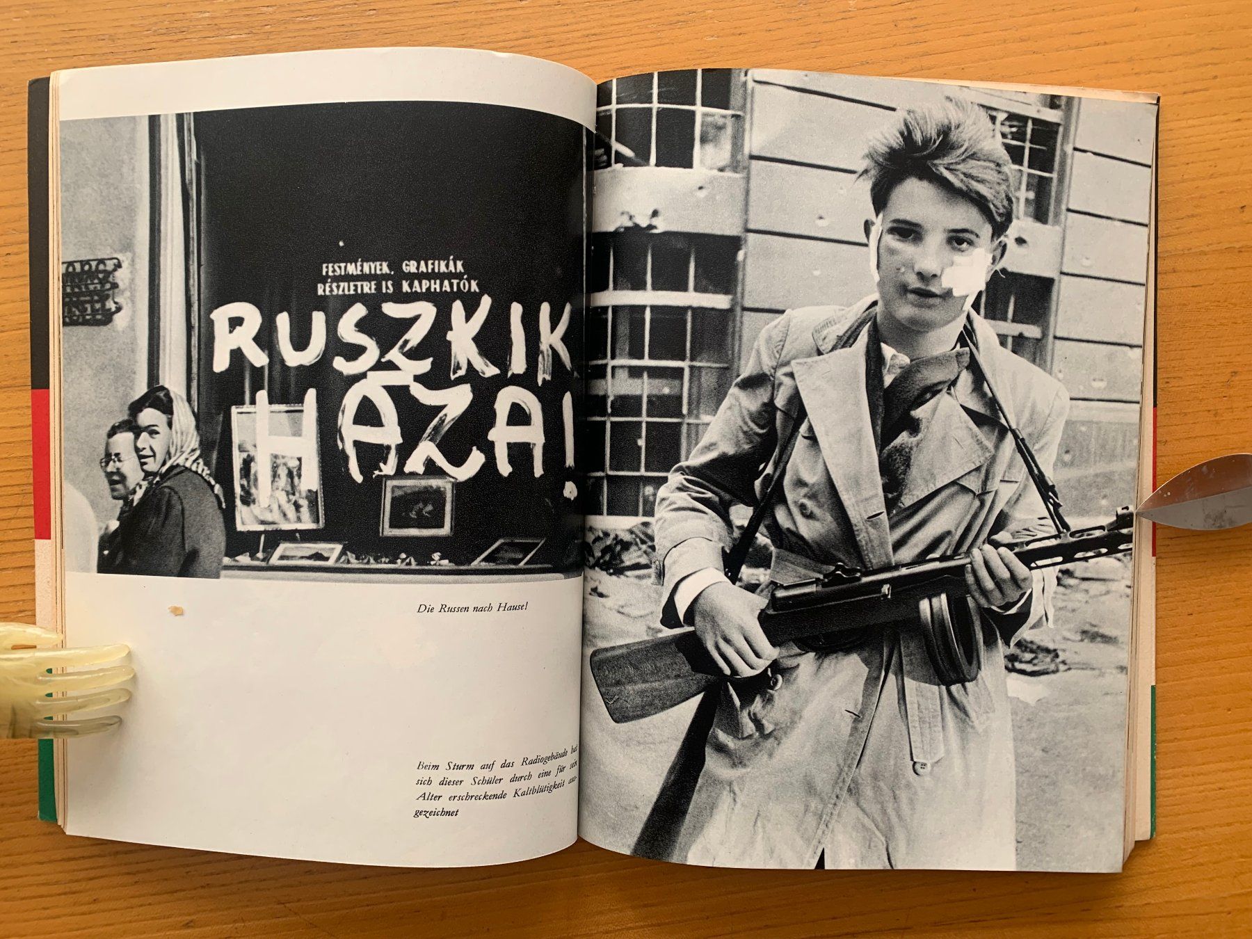 Libri: Ungarn Aufstand: zeitgenössisches Buch – Nuovo (secondo la descrizione) da Altstätten SG venduto da alpalfa 1