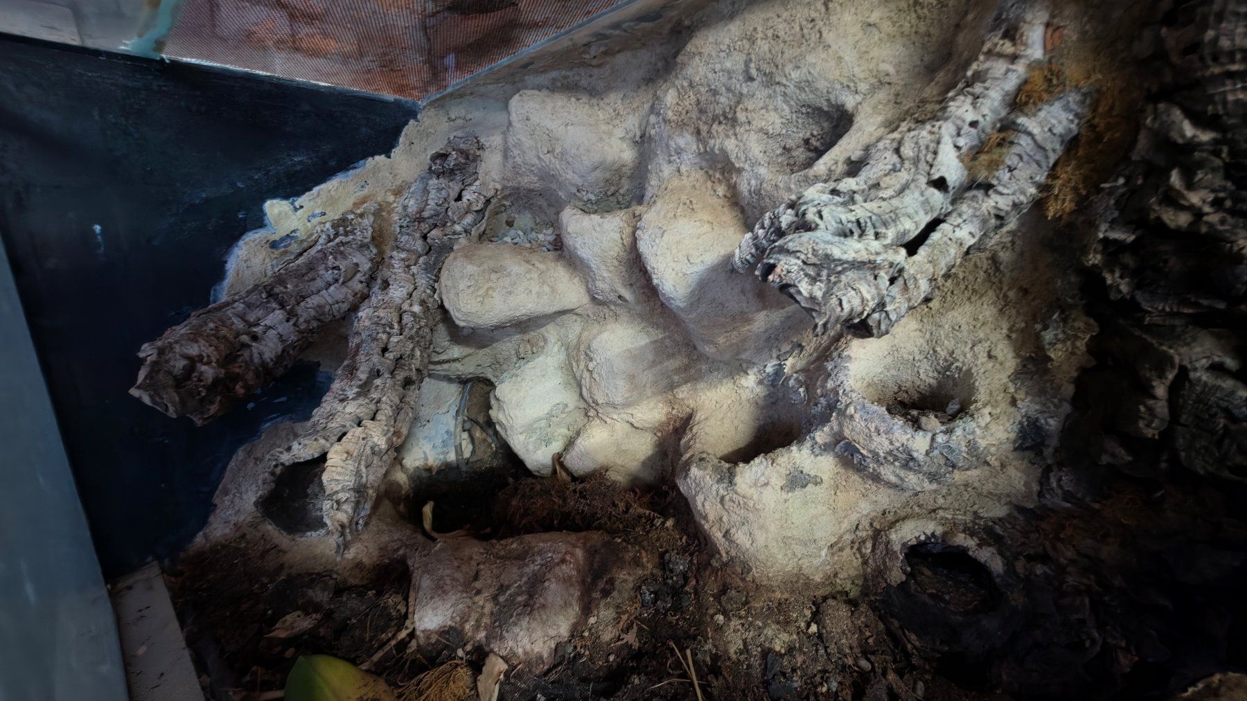 Terrario: Glasterrarium 100x50x60 – Usato da Bülach venduto da TheRealOli007 2