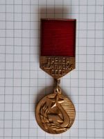 UdSSR Verdienstmedaille «Trainer des UdSSR-Meisters»