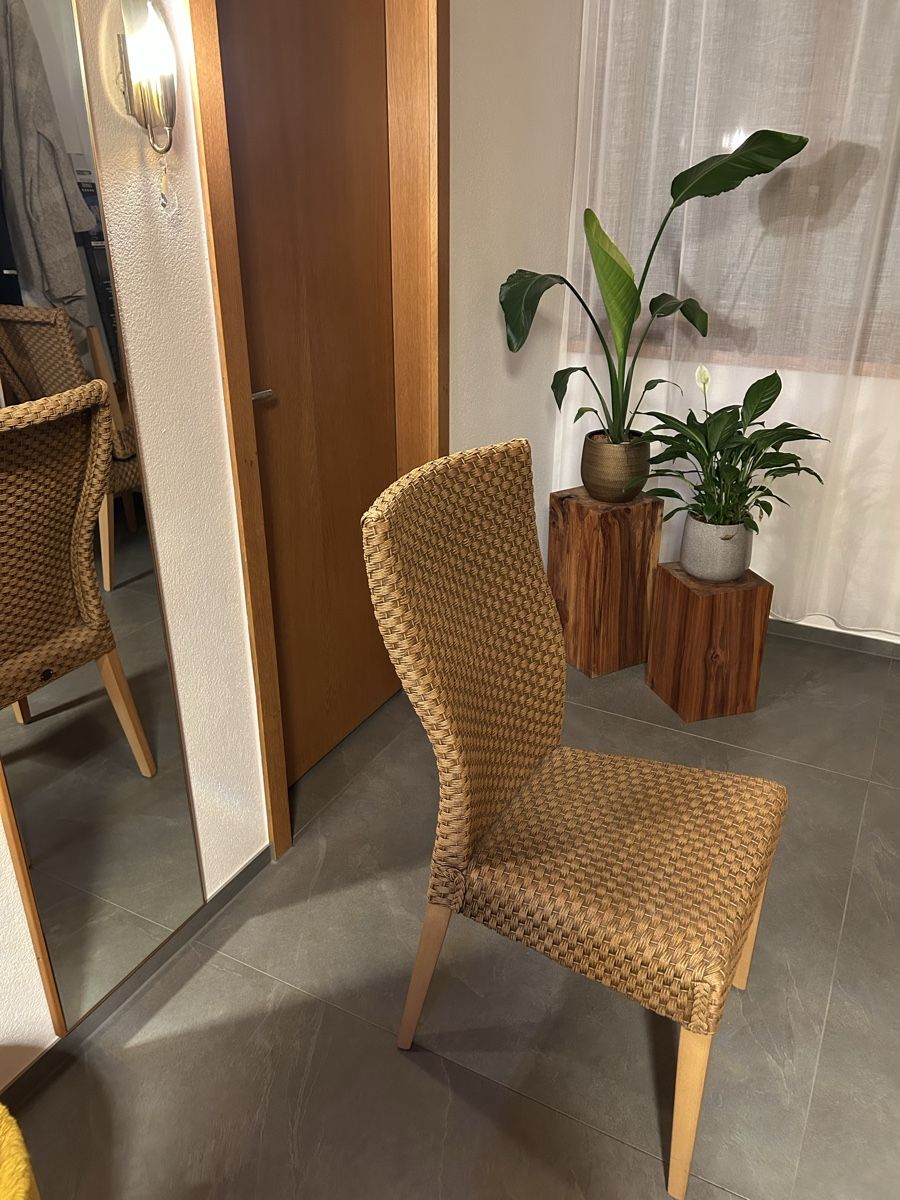 Stühle: Esszimmer Stuhl 6 Stk – Gebraucht aus Menziken von m.zodn