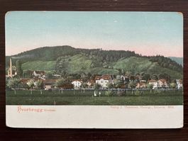 HEERBRUGG (RHEINTAL) Ortsansicht mit Hochkamin