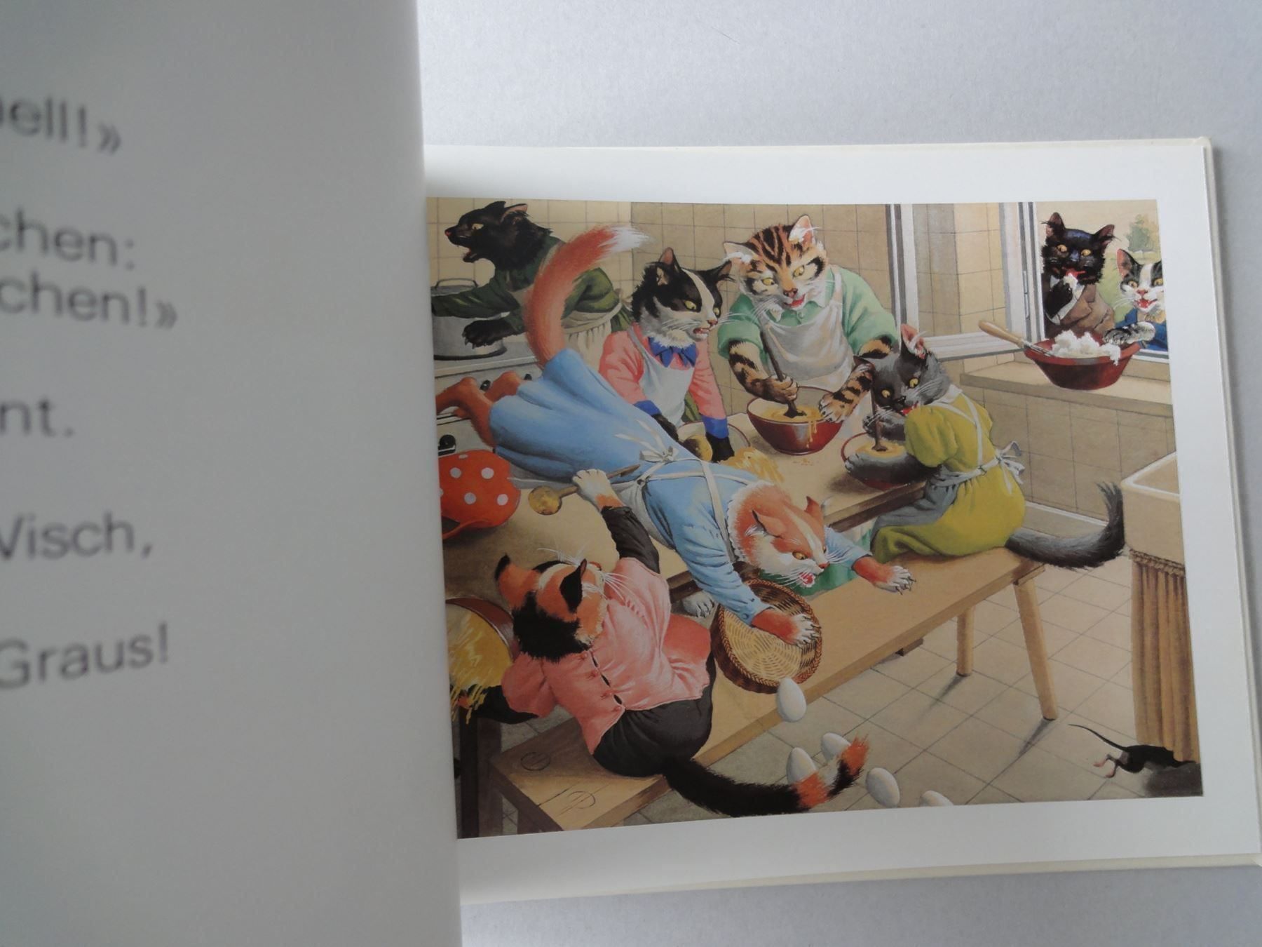 Libri: Die fröhliche Katzenfanilie – Usato da Chur venduto da omonia 4