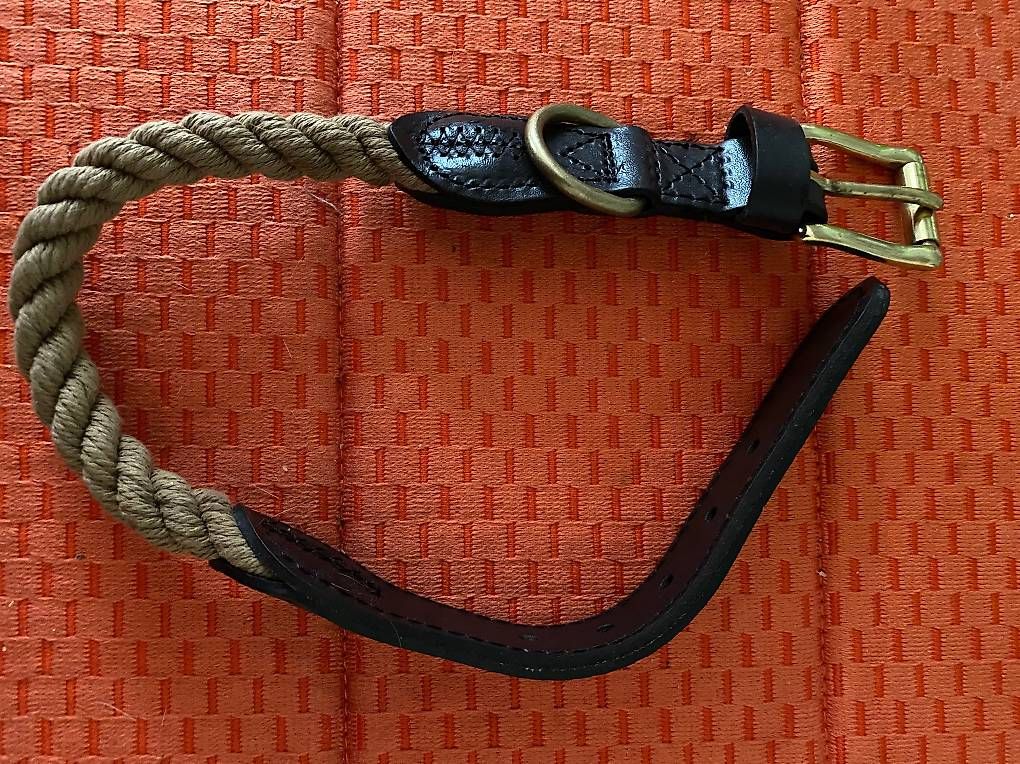 Guinzagli & Collari: Hunde-Halsband Hunter – Usato da Wallisellen venduto da Versiva4 1
