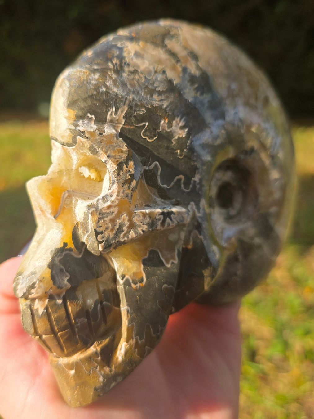 Fossilien: 🐚💀 Ammonit-Schädel Schnitzerei – Neu und originalverpackt aus Matzingen von Shay_Crystalz 2