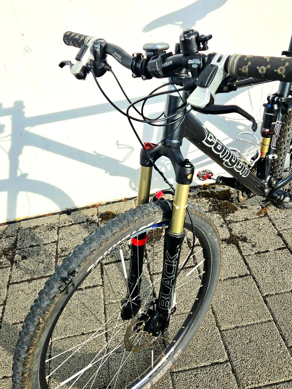Canyon Biciclette: Canyon Nerve XC5 Fully MTB XT – Usato da Ammerswil AG venduto da Undenheim 6