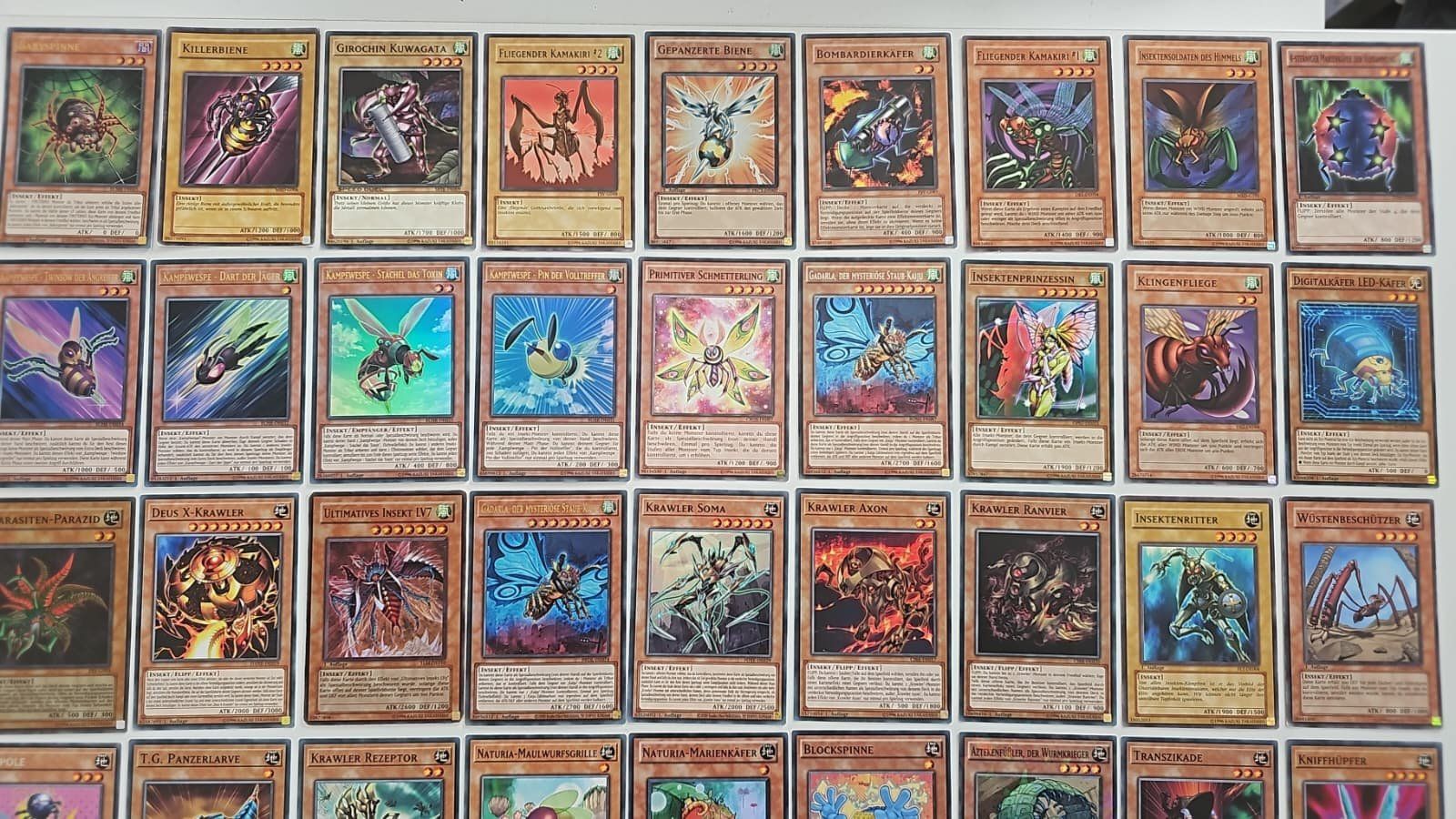 Yugioh Carte collezionabili: Yugioh Riesige Insekten Sammlung – Nuovo (secondo la descrizione) da Chur venduto da -NewERA- 1
