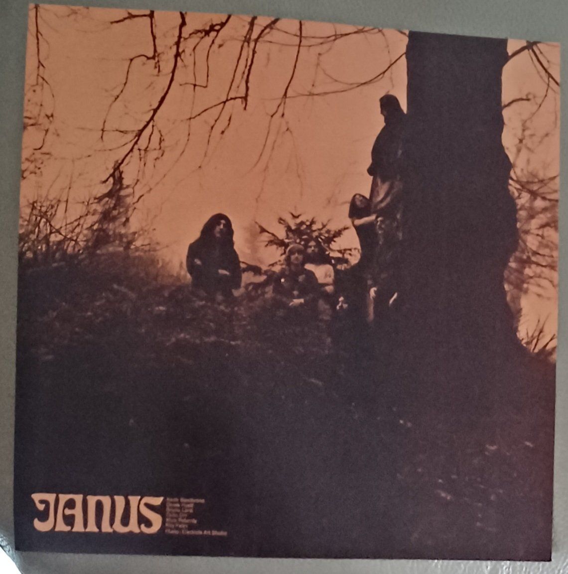 Dischi in vinile: JANUS - Gravedigger / Prog.- Krautrock / DE Press – Nuovo (secondo la descrizione) da Hägendorf venduto da Plattenhardt 3