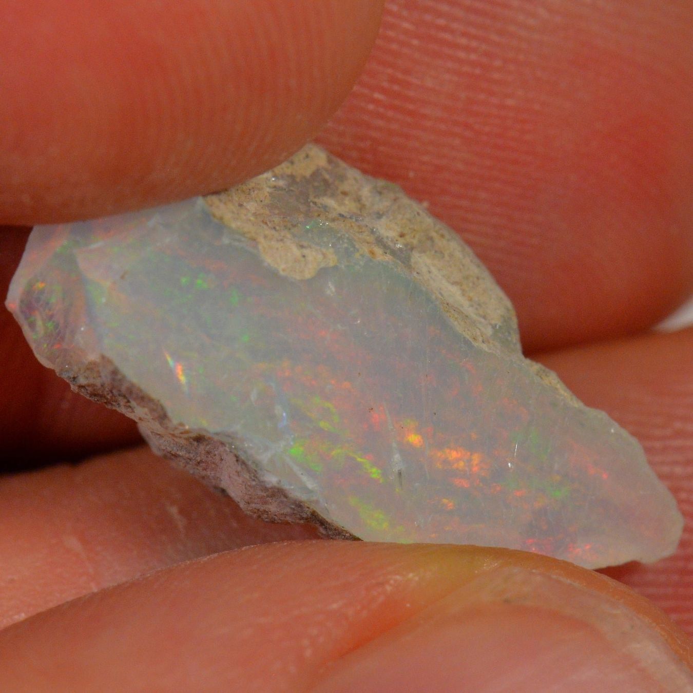 Pierres précieuses: 7.4 Karat - Roher Äthiopischer Welo Opal – Neuf (Voir description) à Rüti ZH par DeinOpal 1