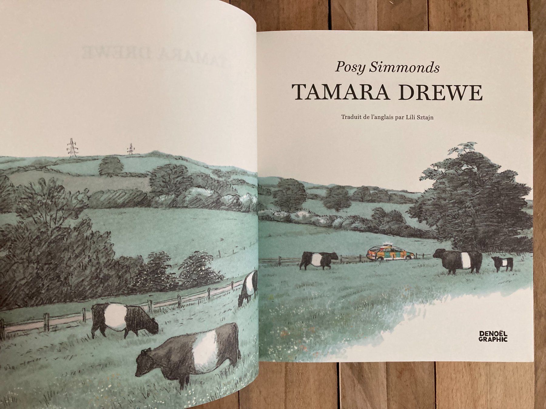 Fumetti: Roman graphique-Simmonds-Tamara Drewe – Usato da vaumarcus venduto da Nicolasorel 2